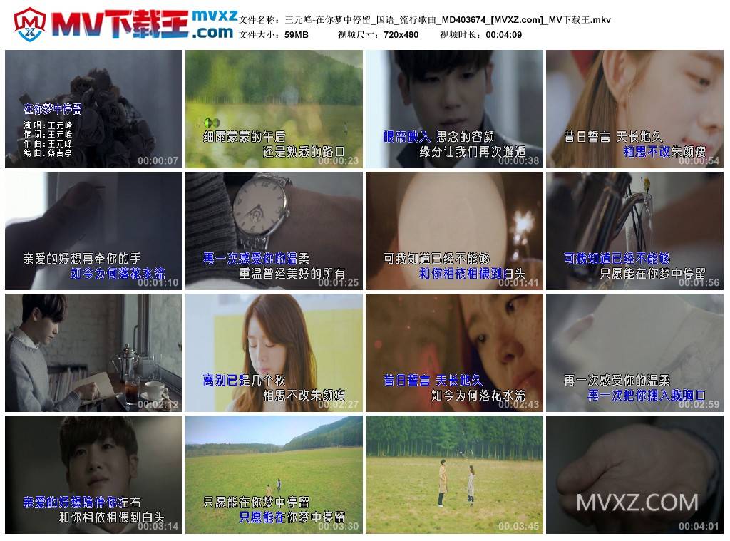 王元峰-在你梦中停留_国语_流行歌曲_MD403674